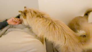 本当に無理かと思った、体調不良