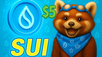 SUI NETWORK Could 10x in 2025 – The Next SOLANA?