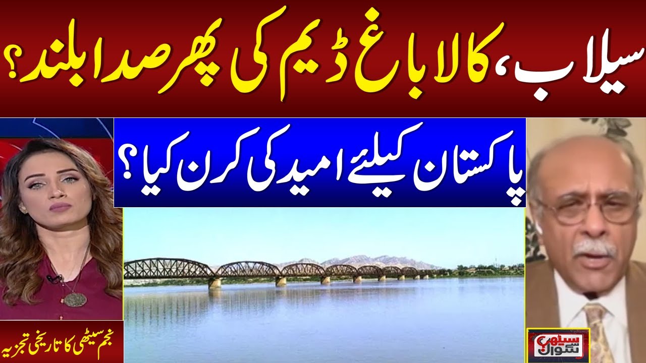 Flood in Punjab | Kalabagh Dam Solution ? | Senior Journalist Najam Sethi Historical Analysis