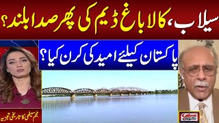 Flood In Punjab Kalabagh Dam Solution ? Senior Journalist Najam Sethi Historical Ysis
