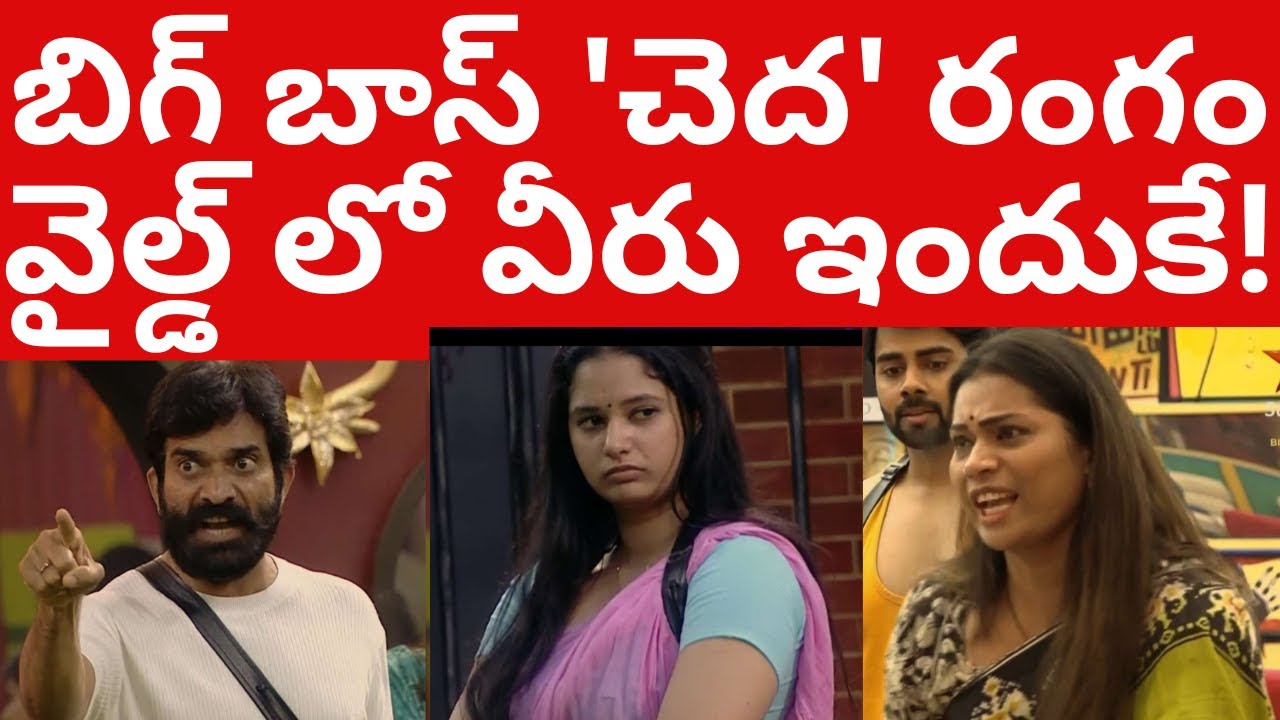 బిగ్ బాస్ 'చెద' రంగం వైల్డ్ లో వీరు ఇందుకే Biggboss9 Telugu Videos Biggboss Review | Tmixture enjoy