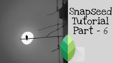 Snapseed Basic Editing Tutorial | Double Exposure, Vignette  | Snapseed for beginners