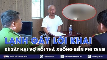 Lạnh gáy lời khai của kẻ sát hại vợ, thả xuống biển phi tang - VNA