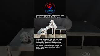 Bio-Inspired Robot Snails Use Suction to Form Structures and Navigate Complex Terrain|AIMPAC|#STEM