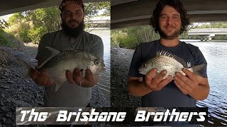 BULIMBA CREEK FISHING NICE TREVALLY + BREAM SAFE RELEASE