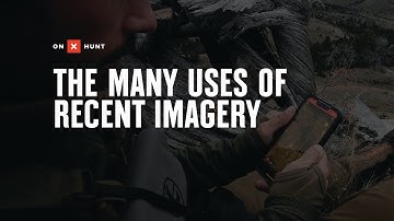 The Many Uses Of Recent Imagery