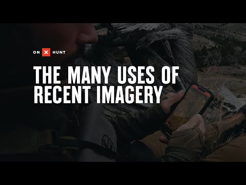 The Many Uses Of Recent Imagery
