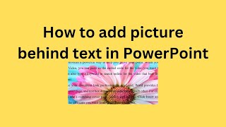 How to add picture behind text in PowerPoint