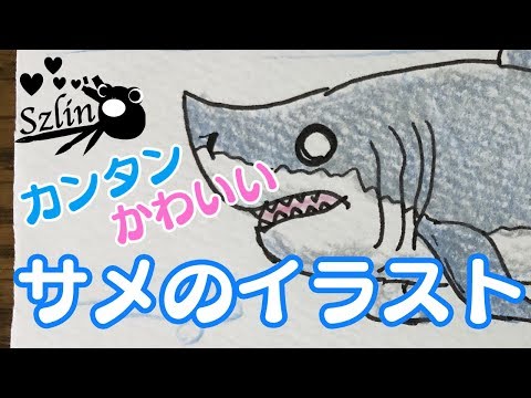 可愛い サメの描き方 Youtube