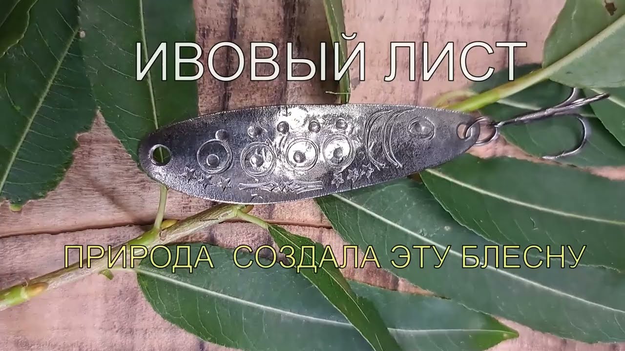 НЕ СДЕЛАЕШЬ ИВОВЫЙ ЛИСТ — НЕ ПОЙМАЕШЬ