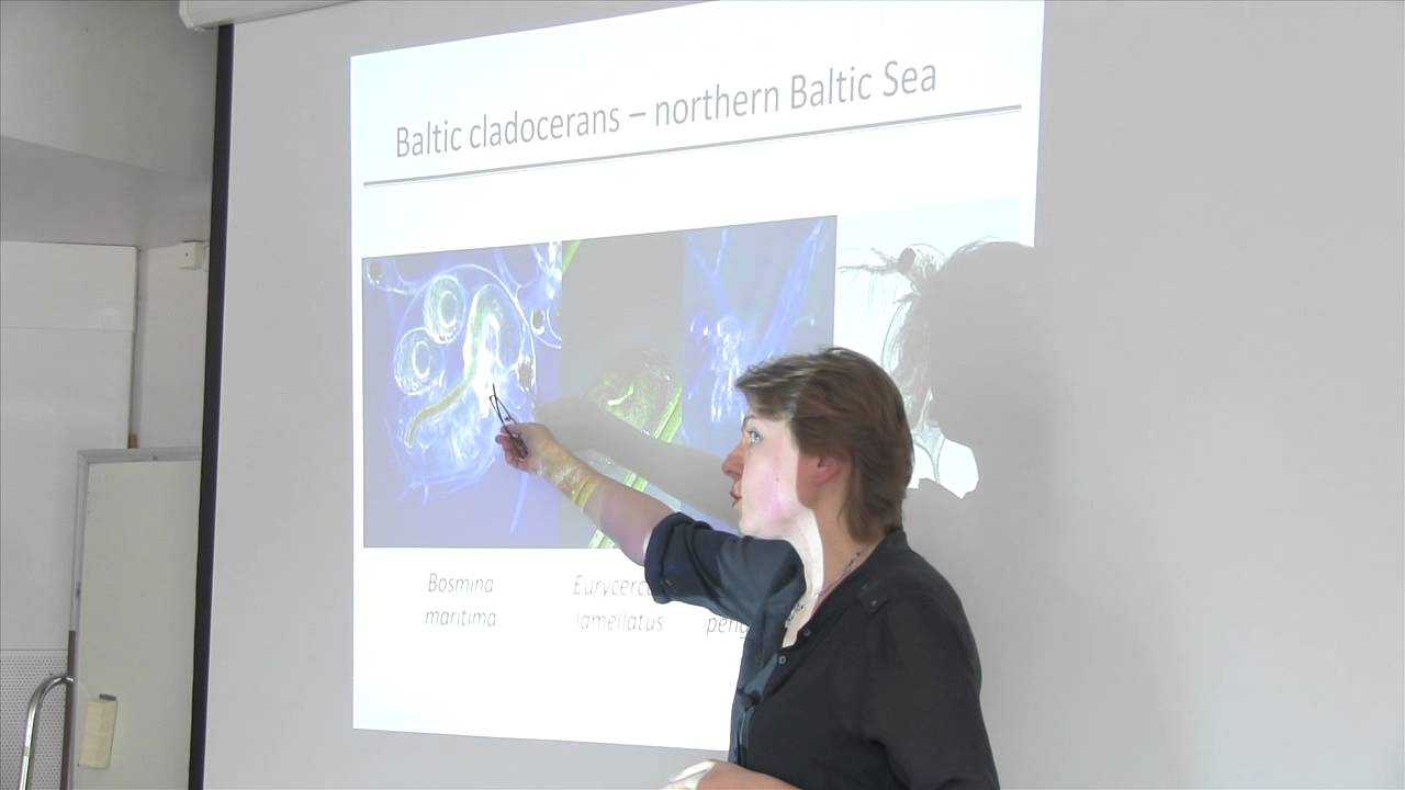 Baltic Sea zooplankton: composition, distribution and functional roles