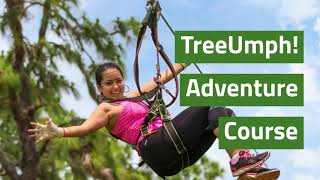 Discover Bradenton: TreeUmph Adventure Course
