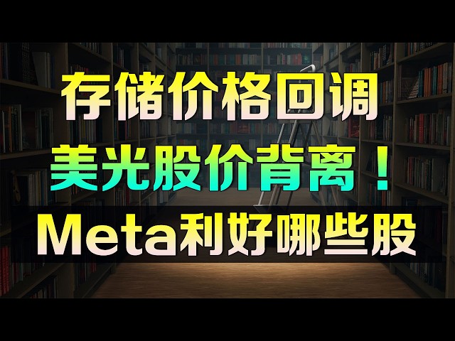 存储芯片价格回调，美光股价为何背离？Muse将利好这五类公司，收藏好！#meta #mu