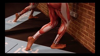 Extensor Hallucis Longus FOOT Stretch for All Standing – iStretch