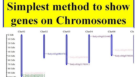 Gene location on chromosome #MG2C