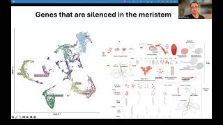 Evolution 2026 Virtual Conference ASN Symposium: Putting mutations in context
