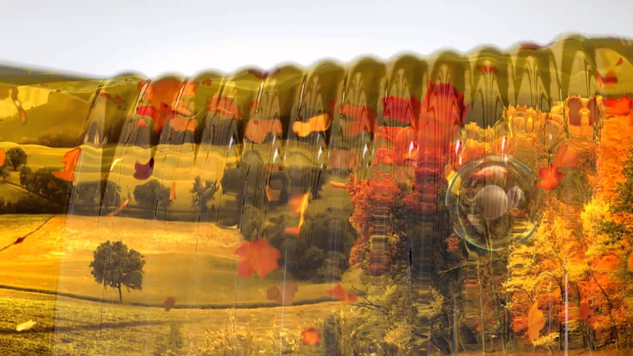 The most beautiful sauce advertising YouTube