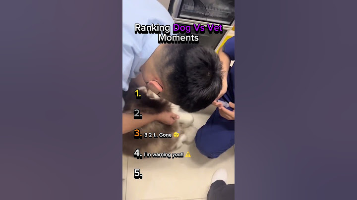 Ranking Dog Vs Vet Moments 🧑🏽‍⚕️