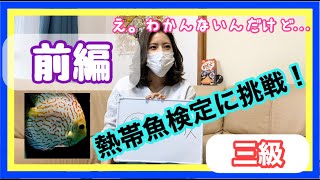 【クイズ】おさかなはかせけんてい☆三級に挑戦！熱帯魚〔前編〕皆さんはわかるかな？