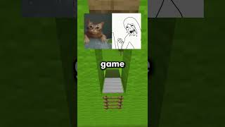Stray Players Gave the Cat Friends