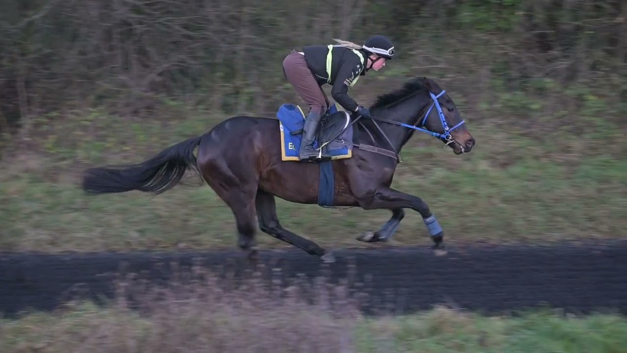 Epsom Downs Bottom Mile 27th December 2025 - Taryn