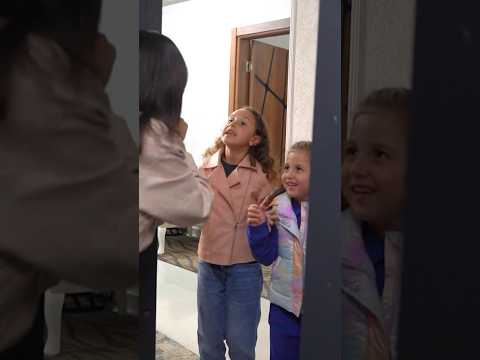 أمى حياتى محمود الجمل عيد الأم