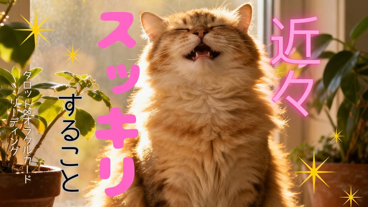 近々スッキリすること✨【タロット＆オラクルカードリーディング】