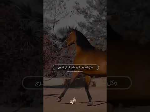 يا الله عسى الوقت يمضي على خير