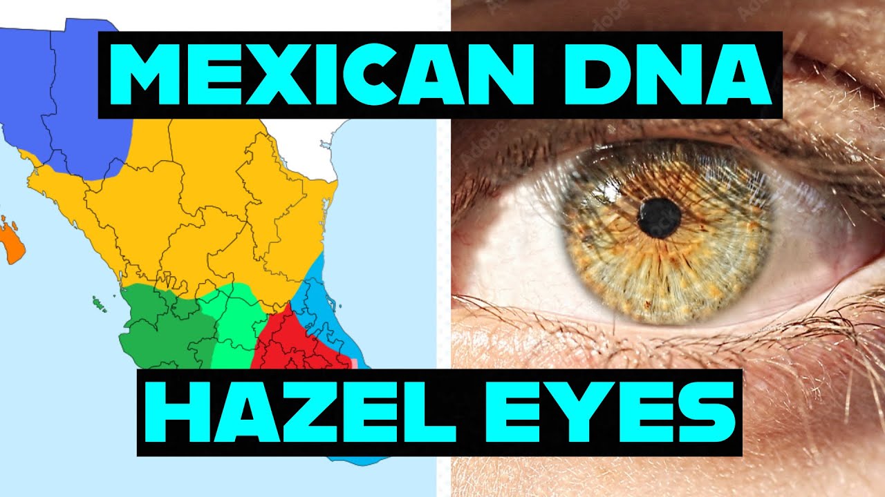 Мексиканская ДНК и эволюция карих глаз