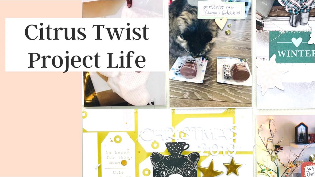 DOUBLE PROJECT LIFE SPREAD /// CITRUS TWIST KITS