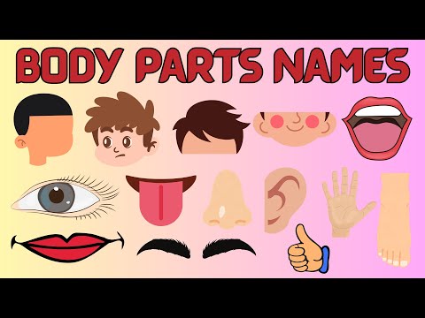 Parts of Body