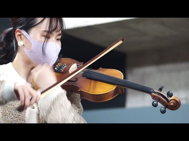 激安バイオリン Hallstatt V-12 弾いてみました Violin 金子日南 - YouTube