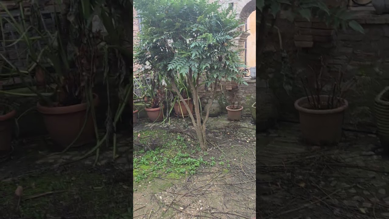 Spello's "Hortus" Garden 