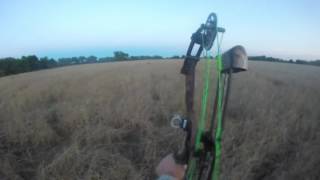 Copy of North Texas Hog Hunt Spot/Stalk