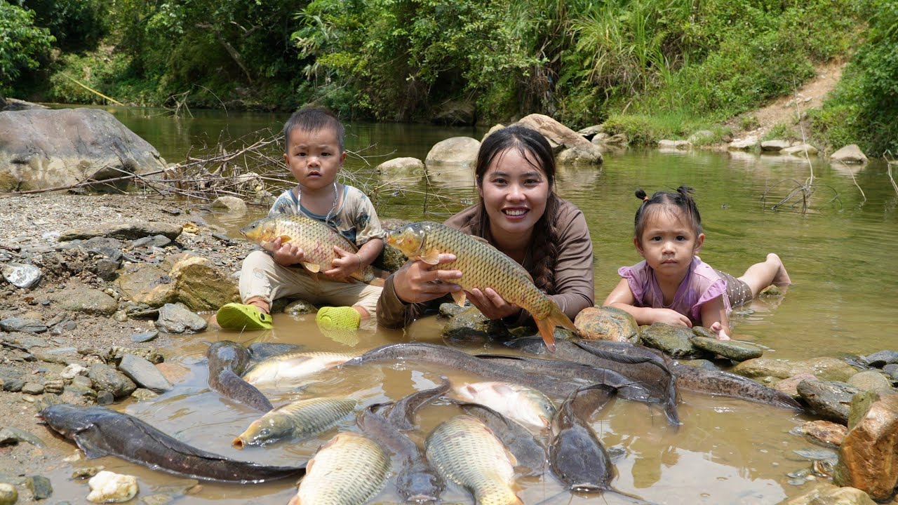 How to catch giant river fish to sell at the market - cook fish porridge for little daughter to eat