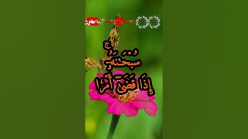 الآيتان 35 و 36 من سورة مريم