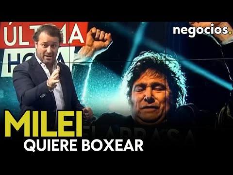 Milei quiere boxear. Una gran promesa y su gran duda: &iquest;Puede explotar la deuda por la dolarizaci&oacute;n?