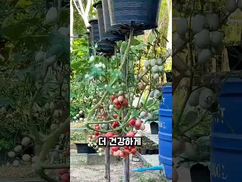 [🚨필독]중요한건 댓글에! 꼭 보세요❤️
