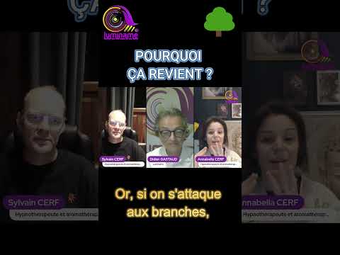 Miniature de Annabelle at Sylvain CERF | Pourquoi ça revient toujours dans ta vie