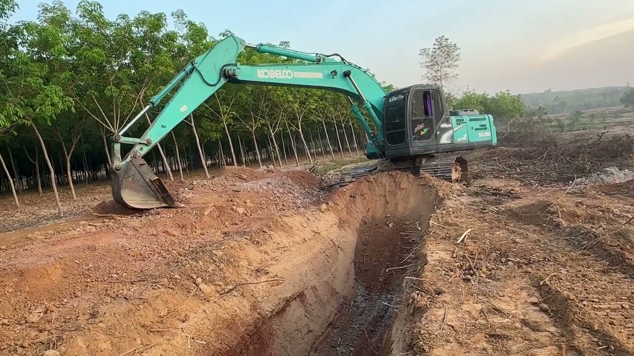 ขุดฟรีไม่ได้เสียเลยสักบาท