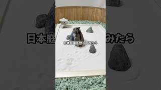 日本庭園の砂模様をお願いしたら、センスが良すぎた！#ペット