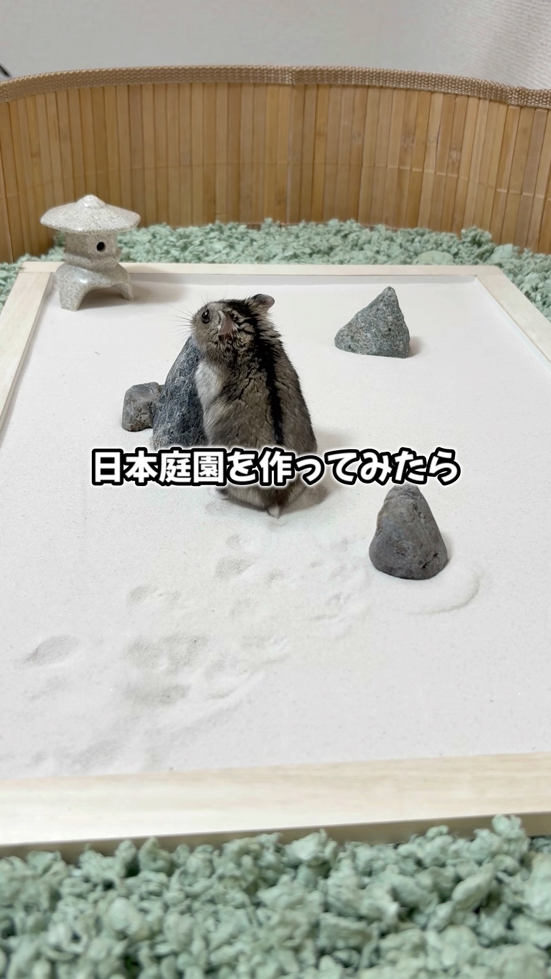 砂で作製した熊の絵 I asked them to create a sand pattern for a Japanese garden, and