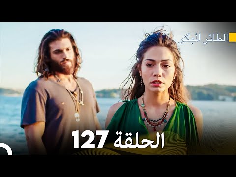 مسلسل الطائر المبكر الحلقة     