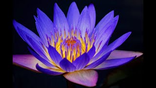 Hasretin Yüreğimde