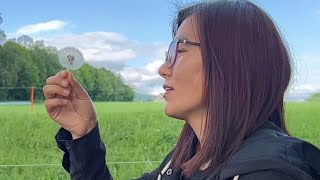 Spring in Oftringen #oftringen #switzerland🇨🇭 #travelvlog #tibetanvlogger