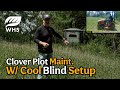 Clover Hunting Plot Maintenance