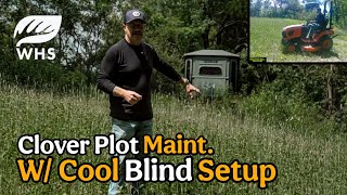 Clover Hunting Plot Maintenance