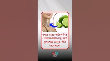 general knowledge || quiz | spinal cord| part-68