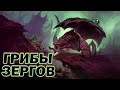 Bly vs NaNiWa - искусство двухбазовых грибов в ZvP