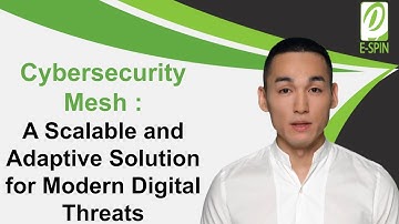 Cybersecurity Mesh | E-SPIN